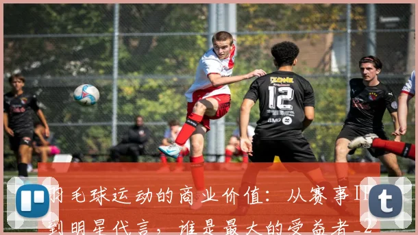 羽毛球运动的商业价值:从赛事IP到明星代言,谁是最大的受益者_20260710003942_20260803143653