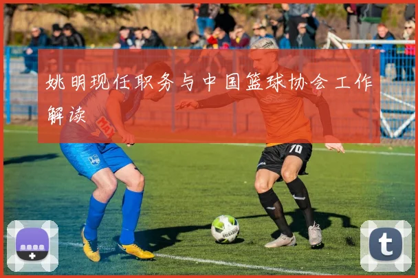 姚明现任职务与中国篮球协会工作解读