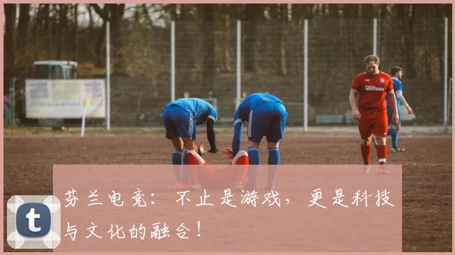 芬兰电竞:不止是游戏,更是科技与文化的融合!